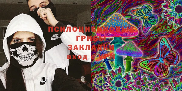 марки lsd Бородино